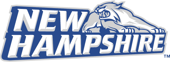 New Hampshire Wildcats 2000-Pres Alternate Logo iron on transfers for fabric